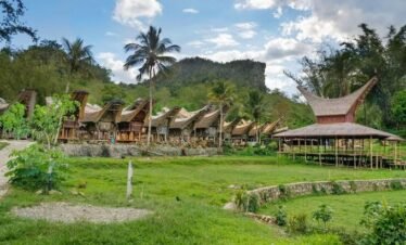 TORAJA – CULTURAL & SHORT TREKKING 4 DAYS